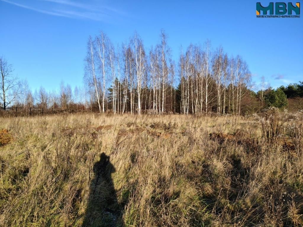 Działka budowlana 1200&nbsp;m², Rydzewo - zdjęcie 7