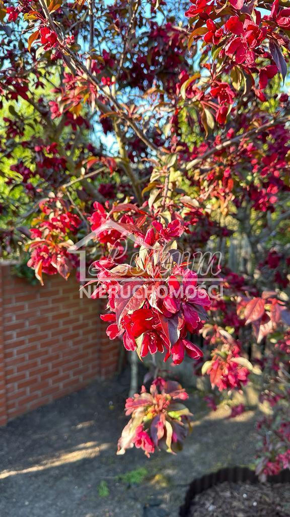 Dom 298,5&nbsp;m², Mierzyn - zdjęcie 7