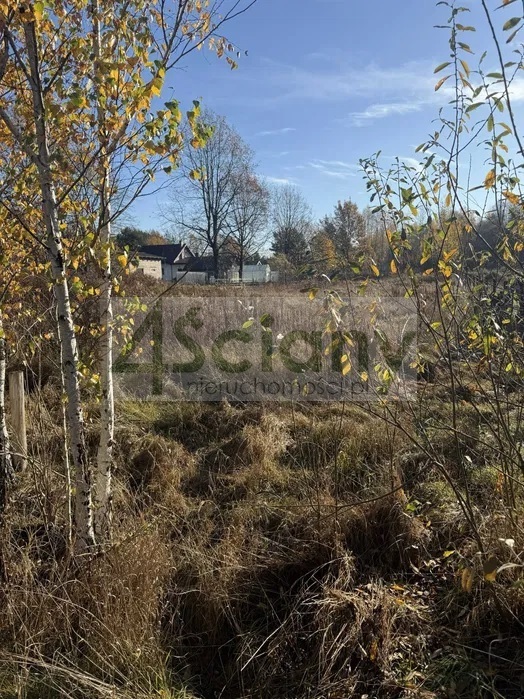 Działka budowlana 2068 m², Radonie - zdjęcie 1