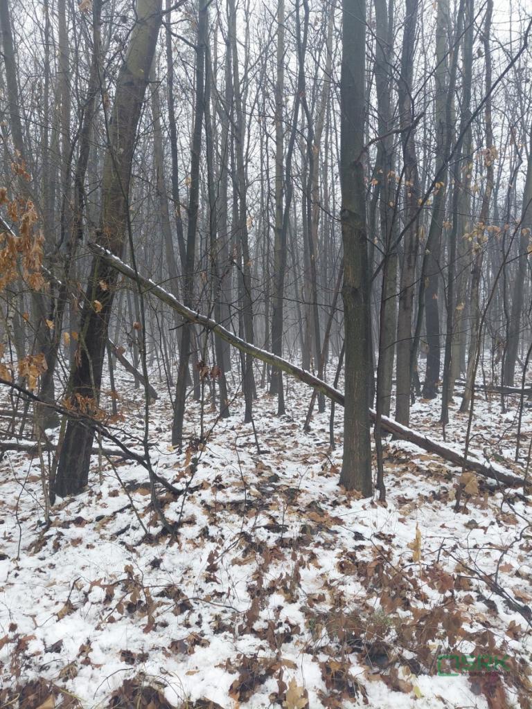Działka inwestycyjna 1,36 ha, Mysłowice, Konopnickiej - zdjęcie 6
