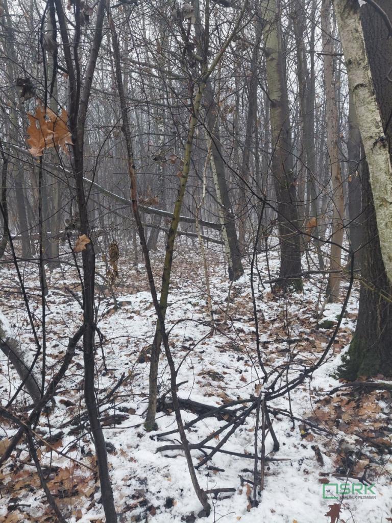 Działka inwestycyjna 1,36 ha, Mysłowice, Konopnickiej - zdjęcie 5