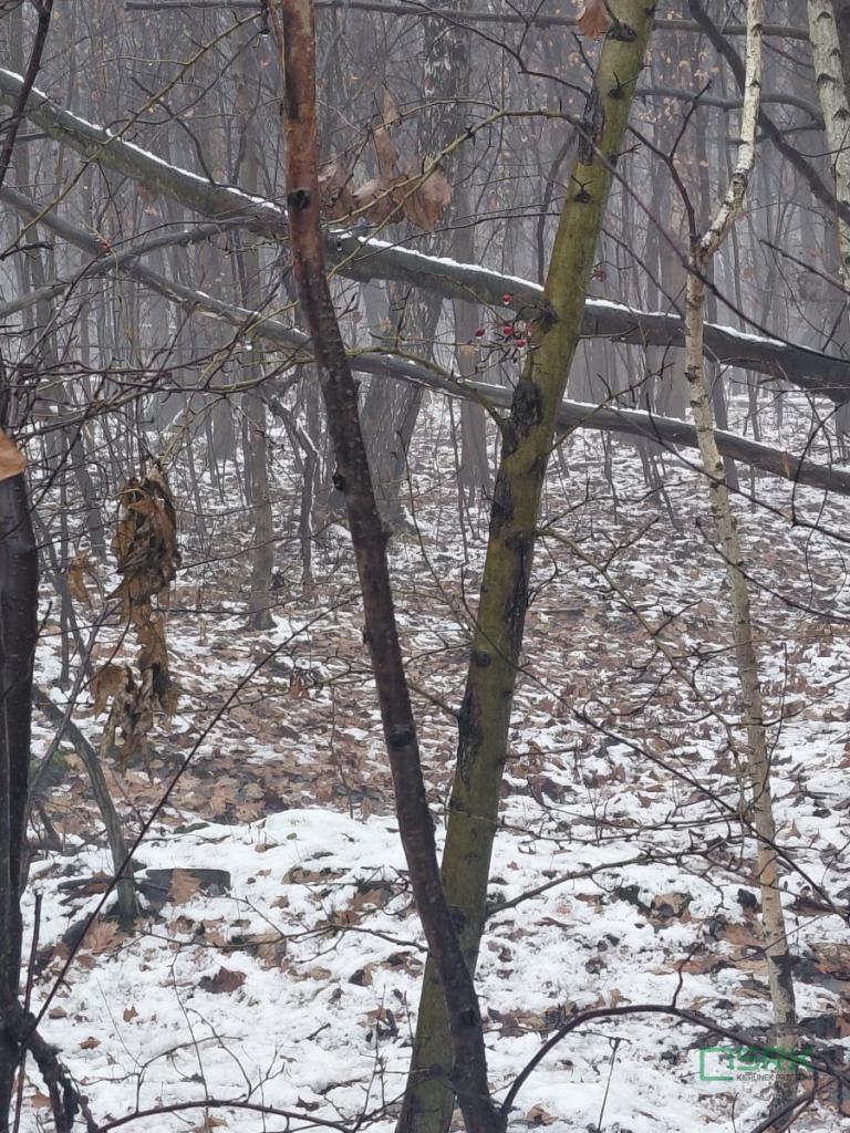 Działka inwestycyjna 1,36 ha, Mysłowice, Konopnickiej - zdjęcie 2