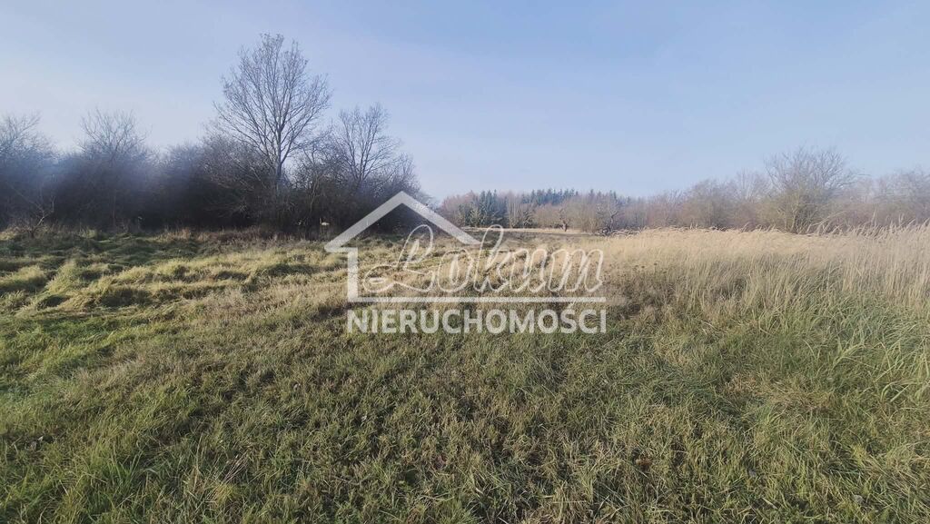 Działka budowlana 1070 m², Tatynia - zdjęcie 2