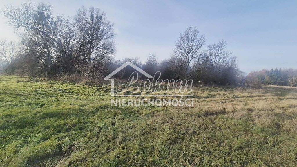 Działka budowlana 1070 m², Tatynia - zdjęcie 16