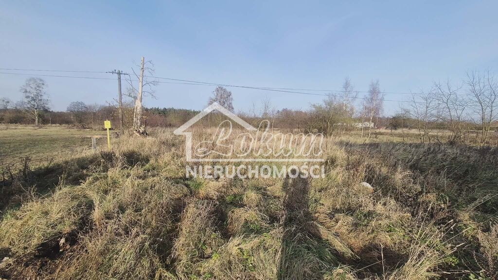 Działka budowlana 1070 m², Tatynia - zdjęcie 17