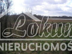 Działka budowlana 1831 m², Bobrowo - zdjęcie 13