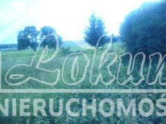 Działka budowlana 1831 m², Bobrowo - zdjęcie 8