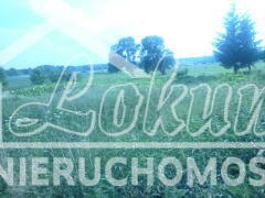 Działka budowlana 1831 m², Bobrowo - zdjęcie 17