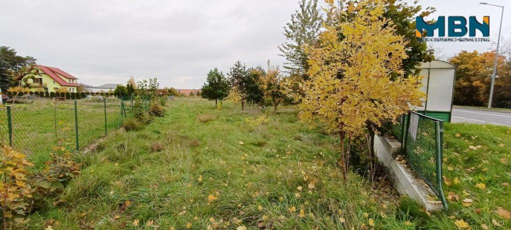 Działka budowlana 4500&nbsp;m², Wilkasy - zdjęcie 12