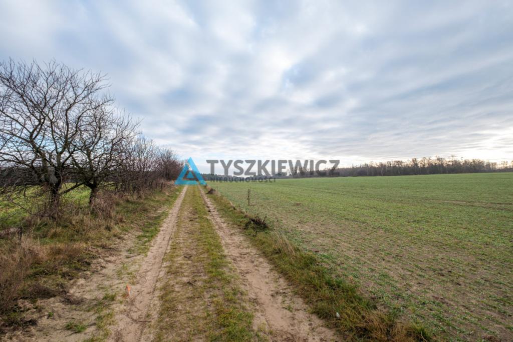 Działka Inwestycyjna MPZP US sport, rekreacja - zdjęcie 3