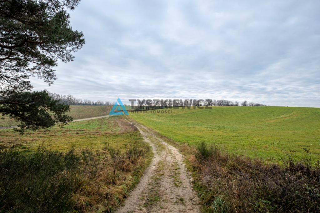 Działka Inwestycyjna MPZP US sport, rekreacja - zdjęcie 6