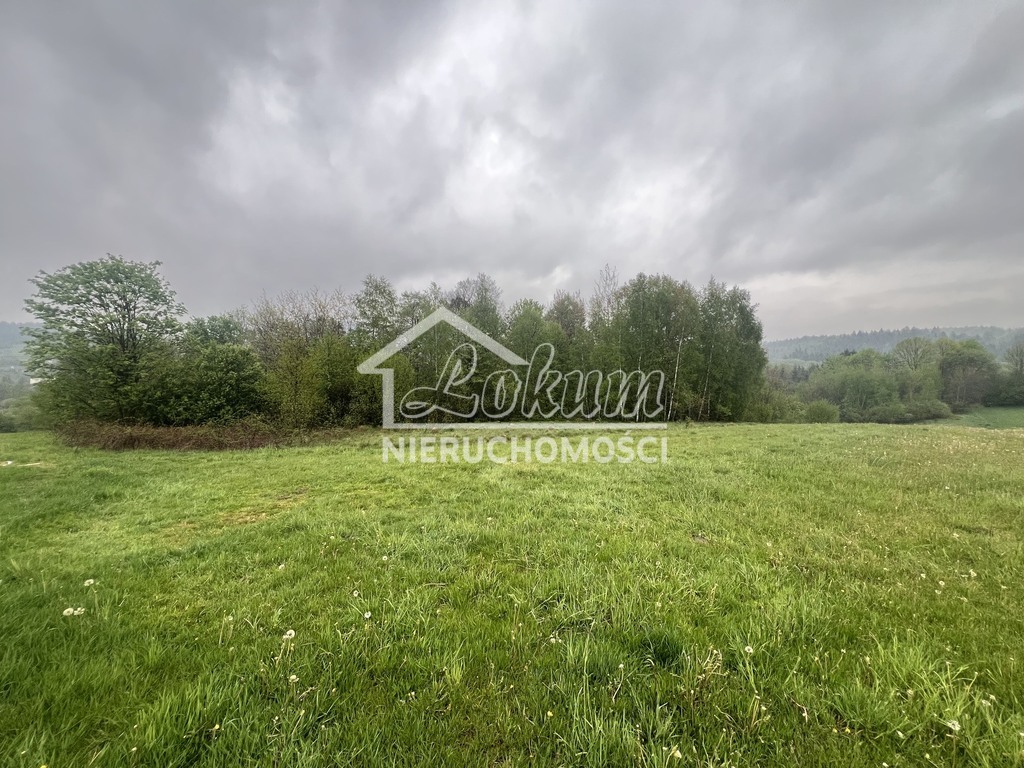 Działka rolna 1539 m², Bystra Podhalańska - zdjęcie 9