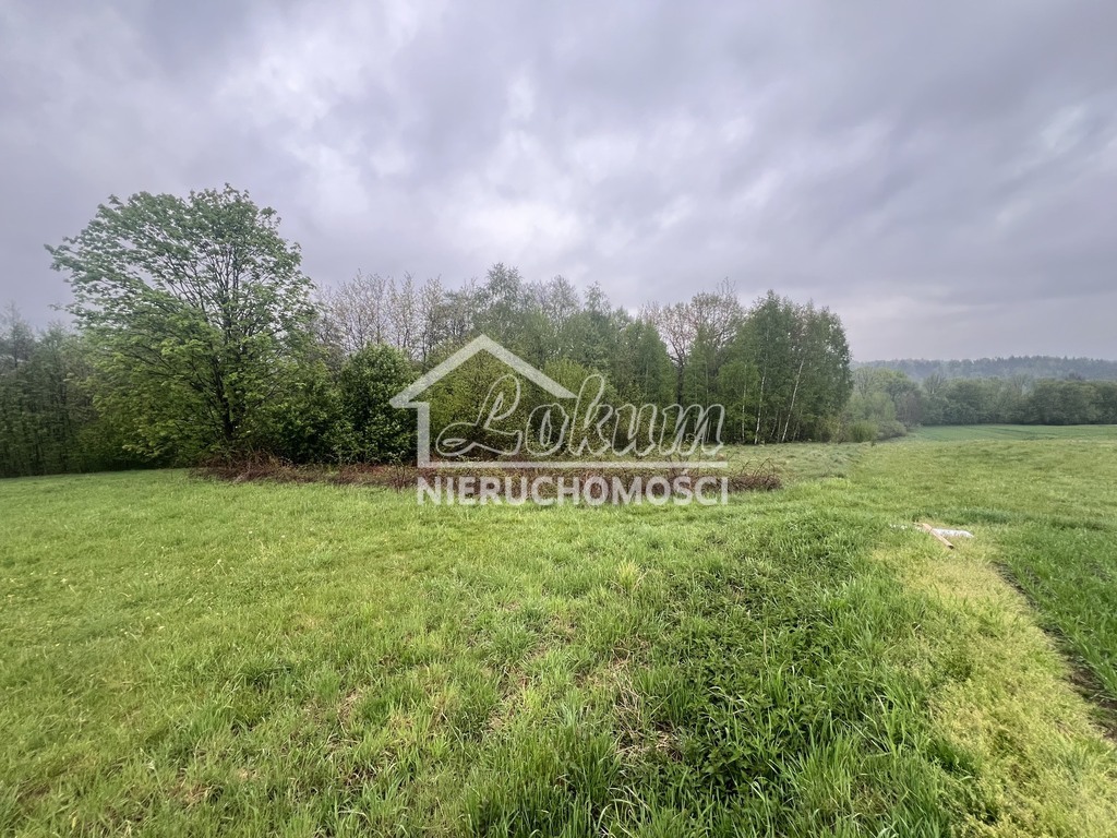 Działka rolna 1539 m², Bystra Podhalańska - zdjęcie 3