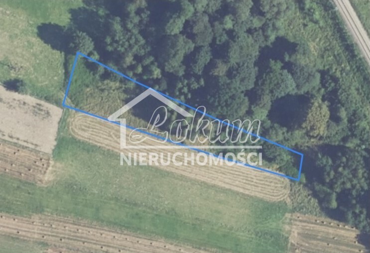 Działka rolna 1539&nbsp;m², Bystra Podhalańska - zdjęcie 1