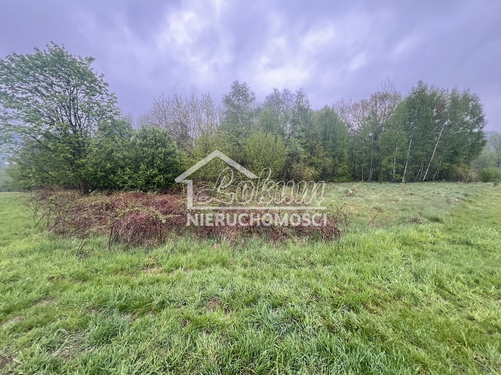 Działka rolna 1539 m², Bystra Podhalańska - zdjęcie 7