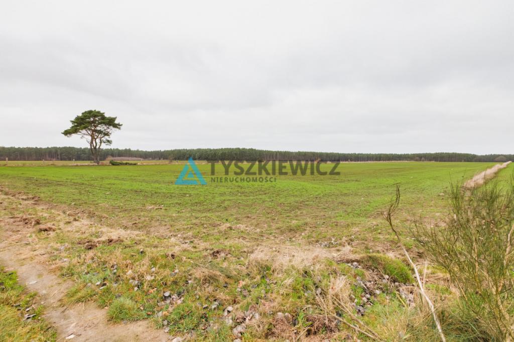 Działka rolna o powierzchni 2.77 ha Słuchowo - zdjęcie 6