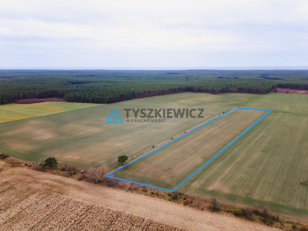 Działka rolna o powierzchni 2.77 ha Słuchowo - zdjęcie 2