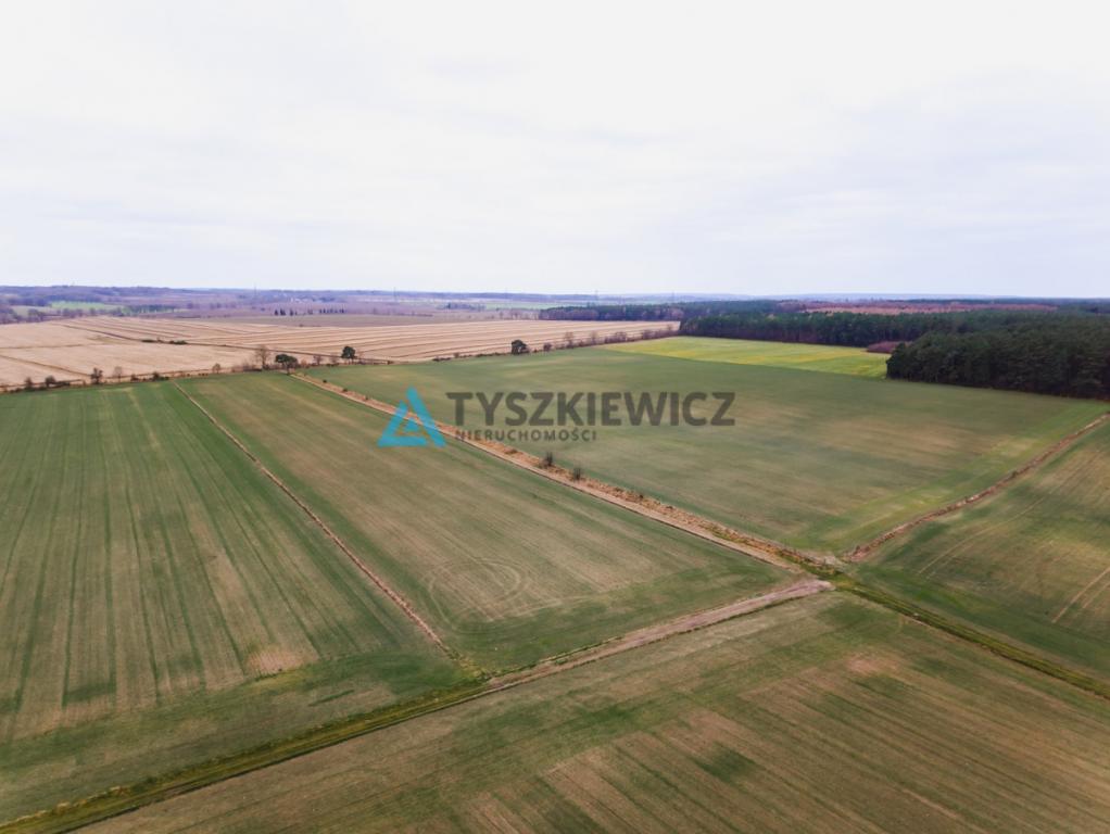 Działka rolna o powierzchni 2.77 ha Słuchowo - zdjęcie 12