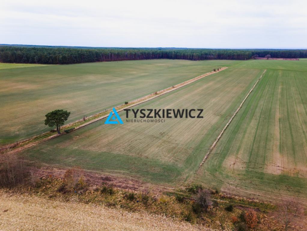 Działka rolna o powierzchni 2.77 ha Słuchowo - zdjęcie 1