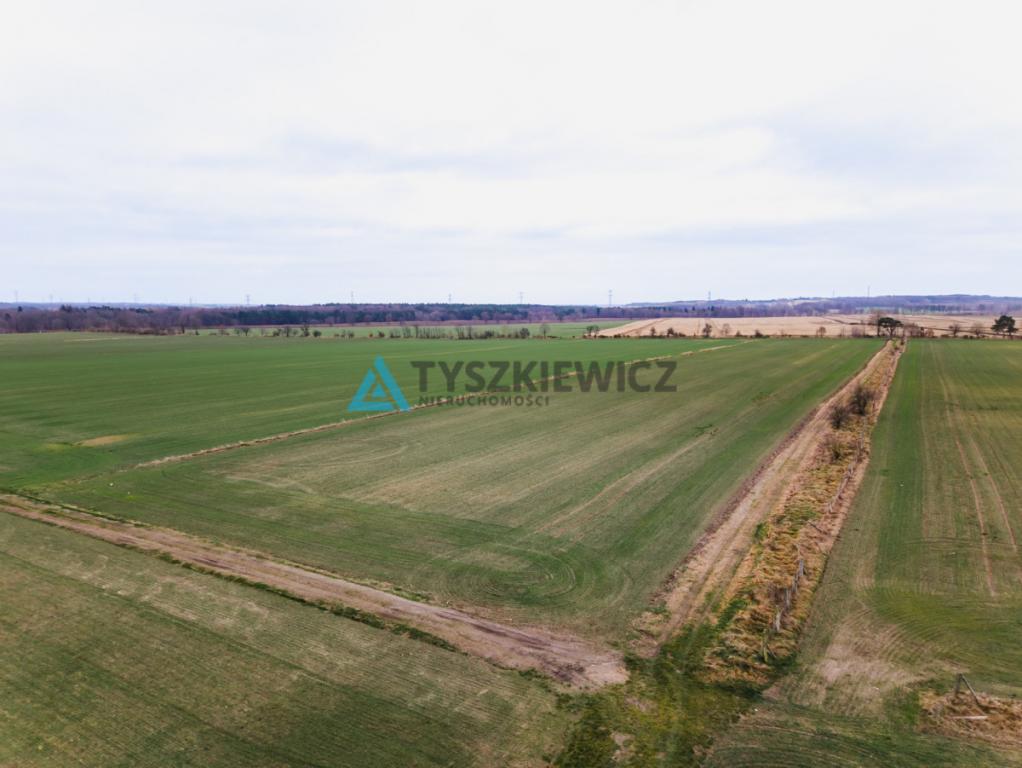 Działka rolna o powierzchni 2.77 ha Słuchowo - zdjęcie 7