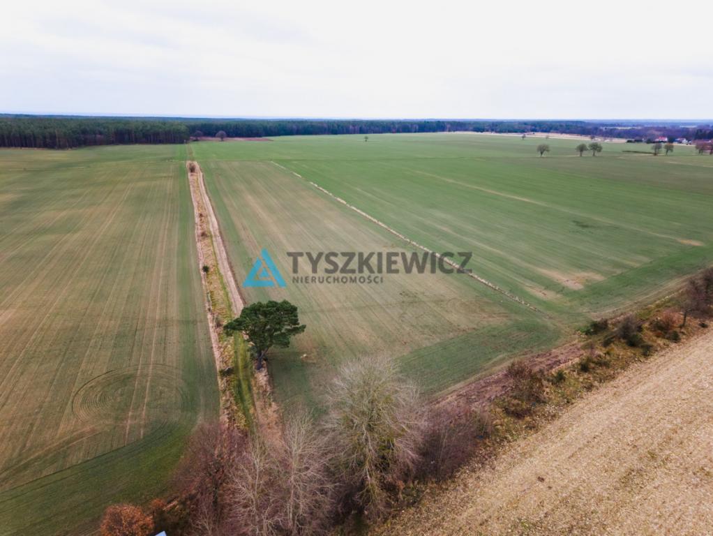 Działka rolna o powierzchni 2.77 ha Słuchowo - zdjęcie 3