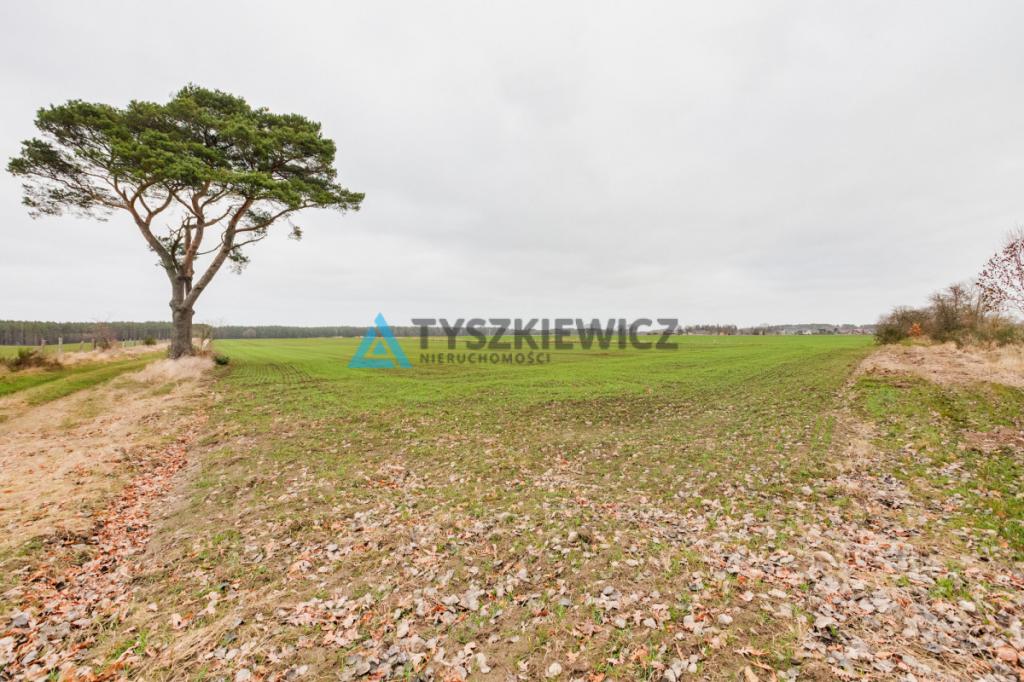 Działka rolna o powierzchni 2.77 ha Słuchowo - zdjęcie 4