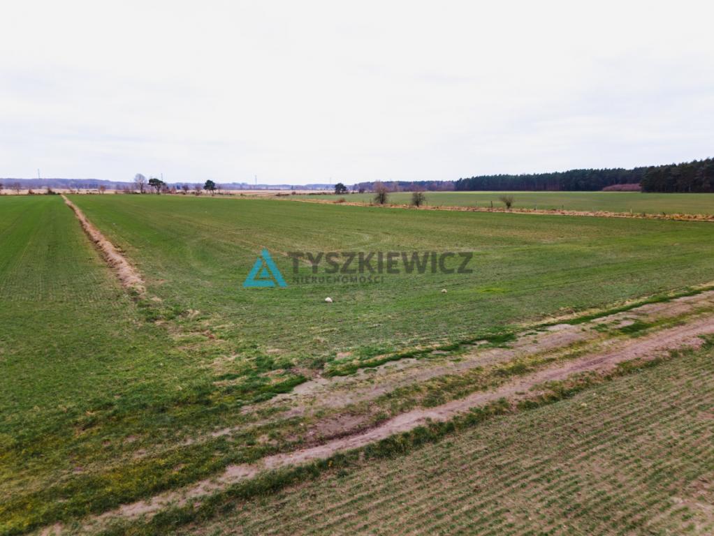 Działka rolna o powierzchni 2.77 ha Słuchowo - zdjęcie 11