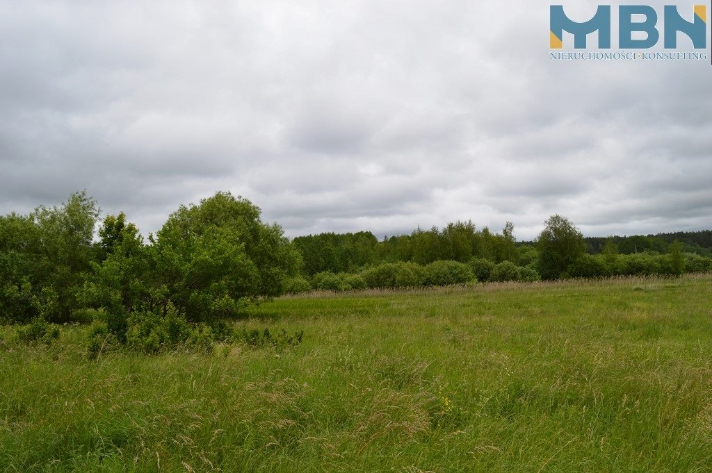 Działka budowlana 1,04 ha, Przerwanki - zdjęcie 9