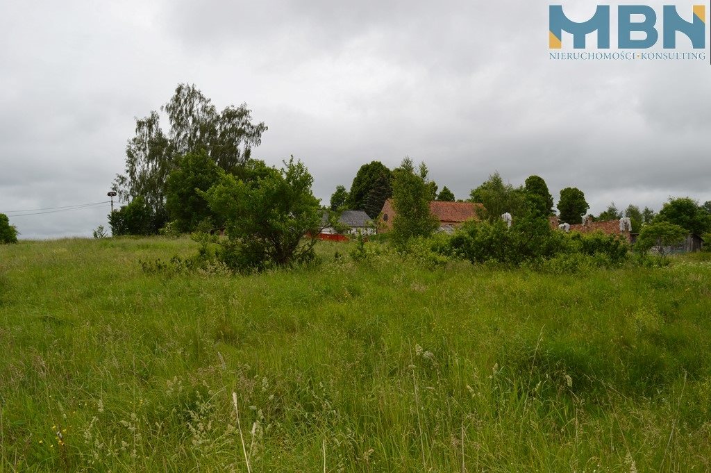 Działka budowlana 1,04 ha, Przerwanki - zdjęcie 5
