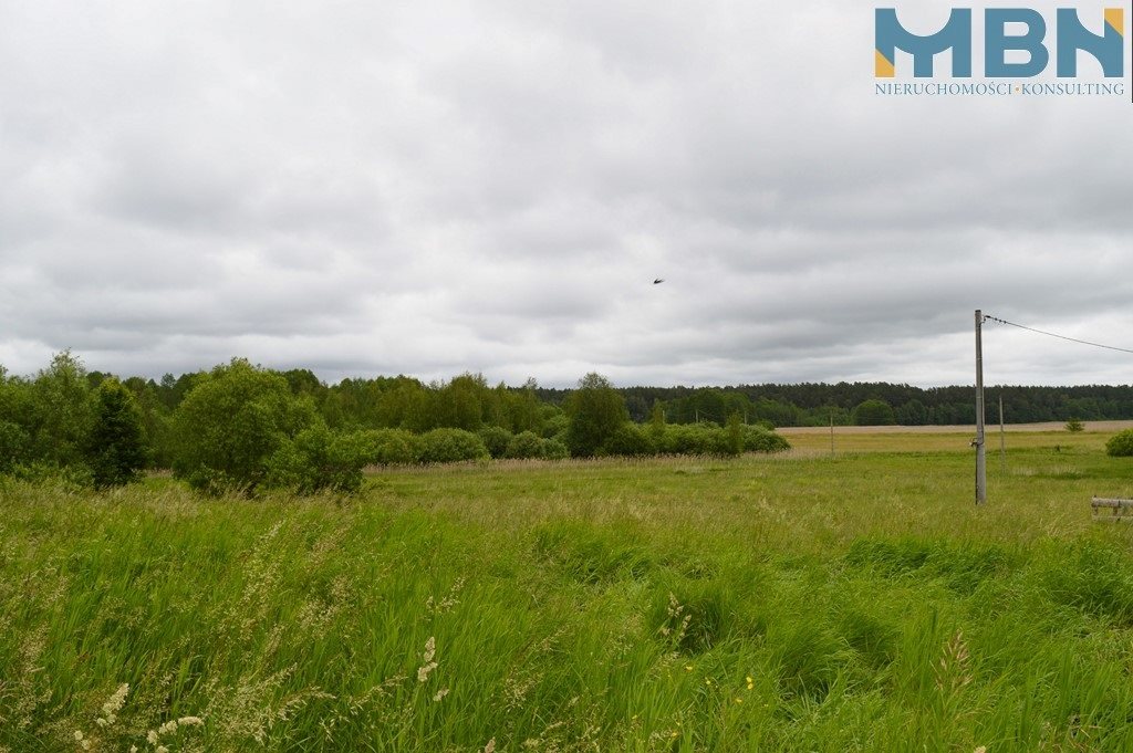 Działka budowlana 1,04 ha, Przerwanki - zdjęcie 8