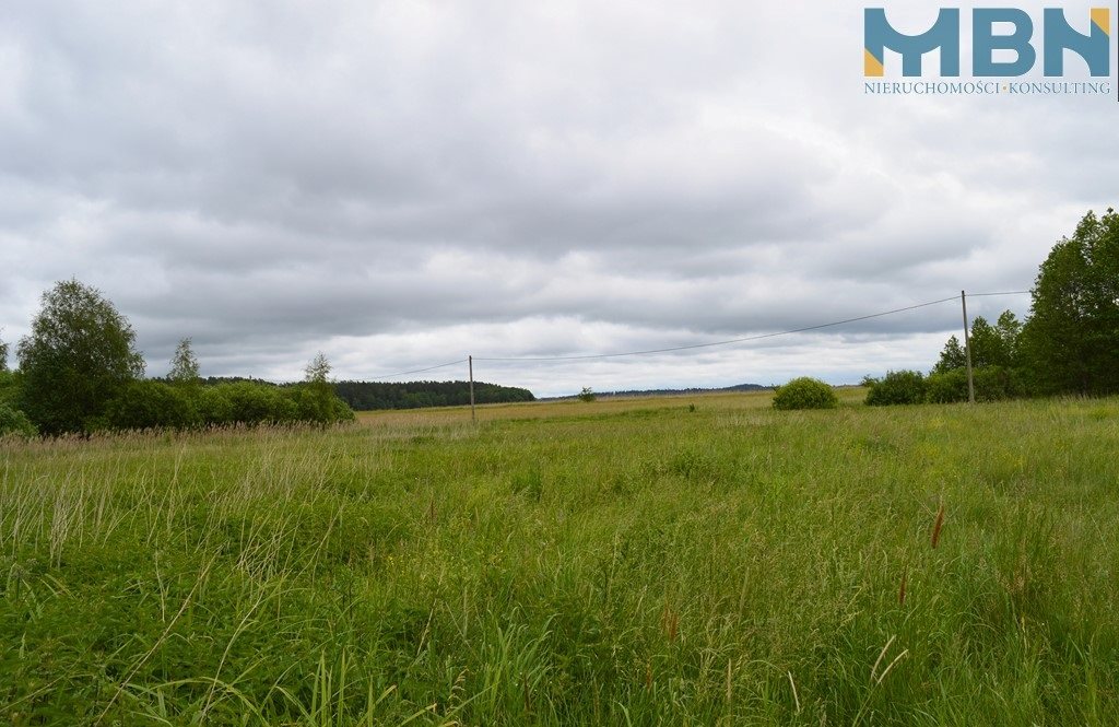Działka budowlana 1,04 ha, Przerwanki - zdjęcie 7