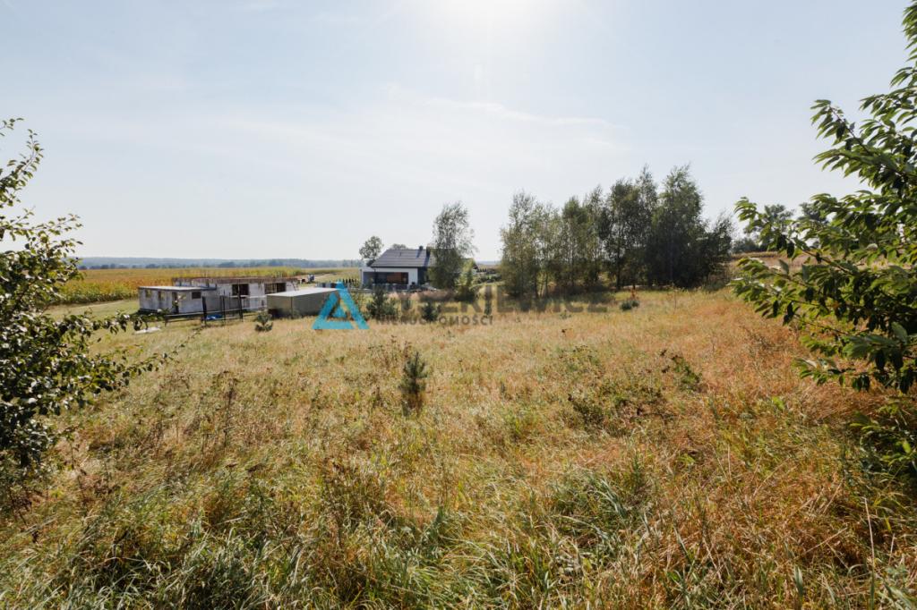 Działka Zamek Kiszewski - zdjęcie 13