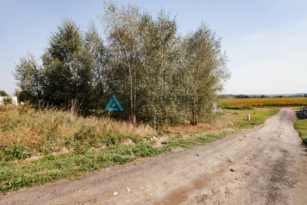 Działka Zamek Kiszewski - zdjęcie 15