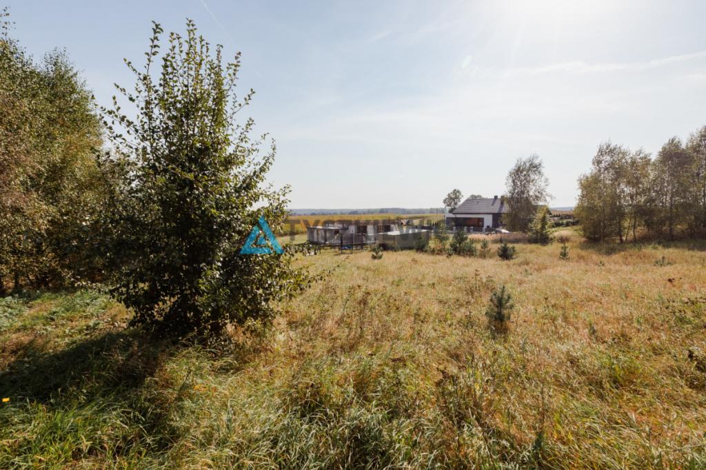 Działka Zamek Kiszewski - zdjęcie 14