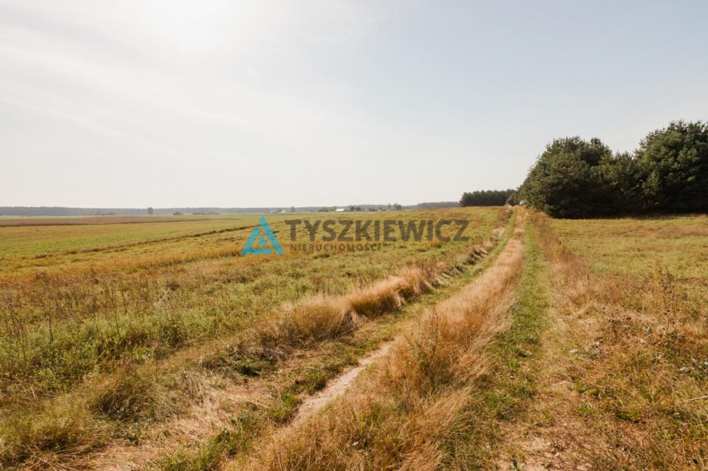 Działka z WZ Chwarzno Bory Tucholskie - zdjęcie 16