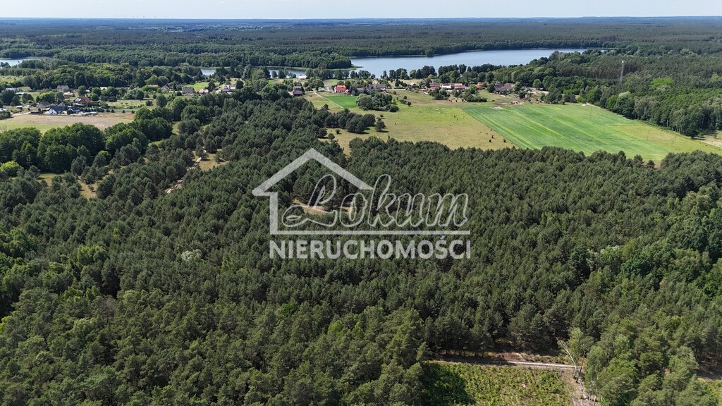 Działka inwestycyjna 25,90 ha, Ostrowiec - zdjęcie 3
