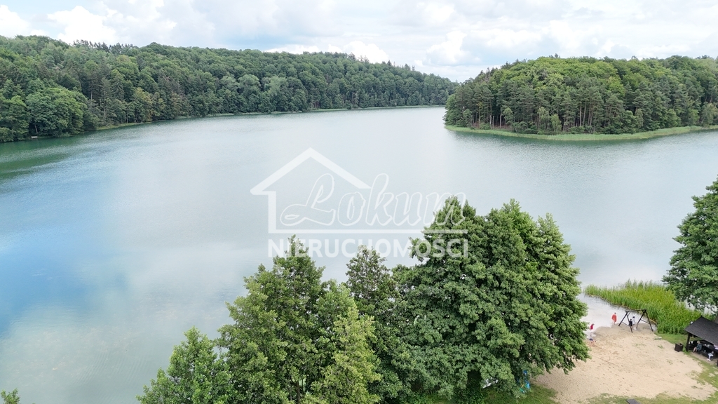 Działka budowlana 2933 m², Sikory - zdjęcie 12