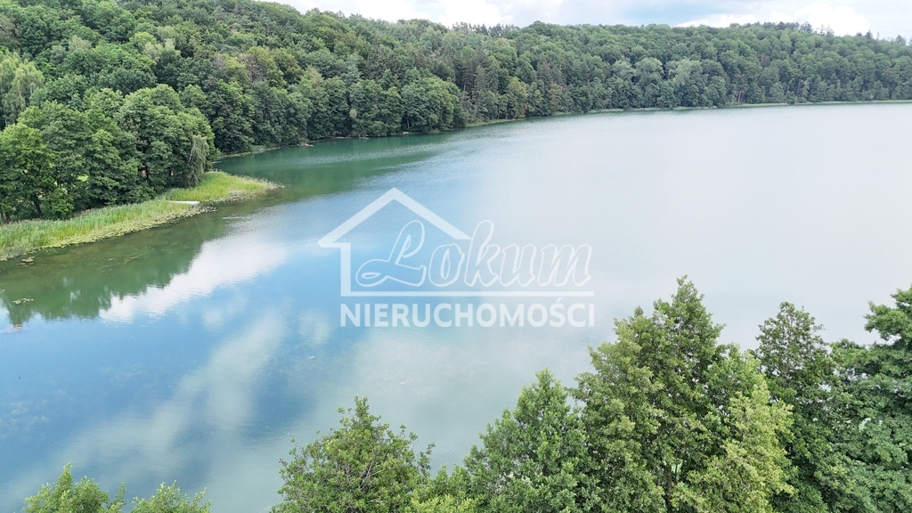 Działka budowlana 2933 m², Sikory - zdjęcie 11