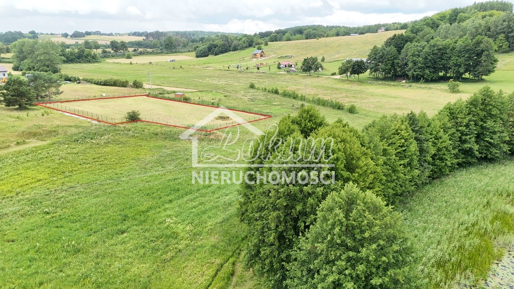 Działka budowlana 2933 m², Sikory - zdjęcie 10