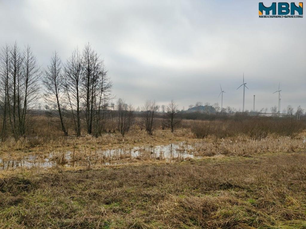 Działka rolna 4,90 ha, Wydminy - zdjęcie 7