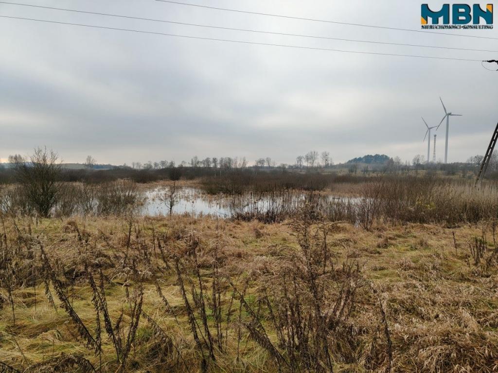 Działka rolna 4,90 ha, Wydminy - zdjęcie 15