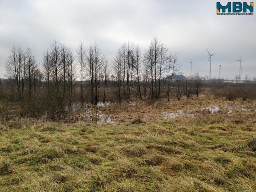 Działka rolna 4,90 ha, Wydminy - zdjęcie 6