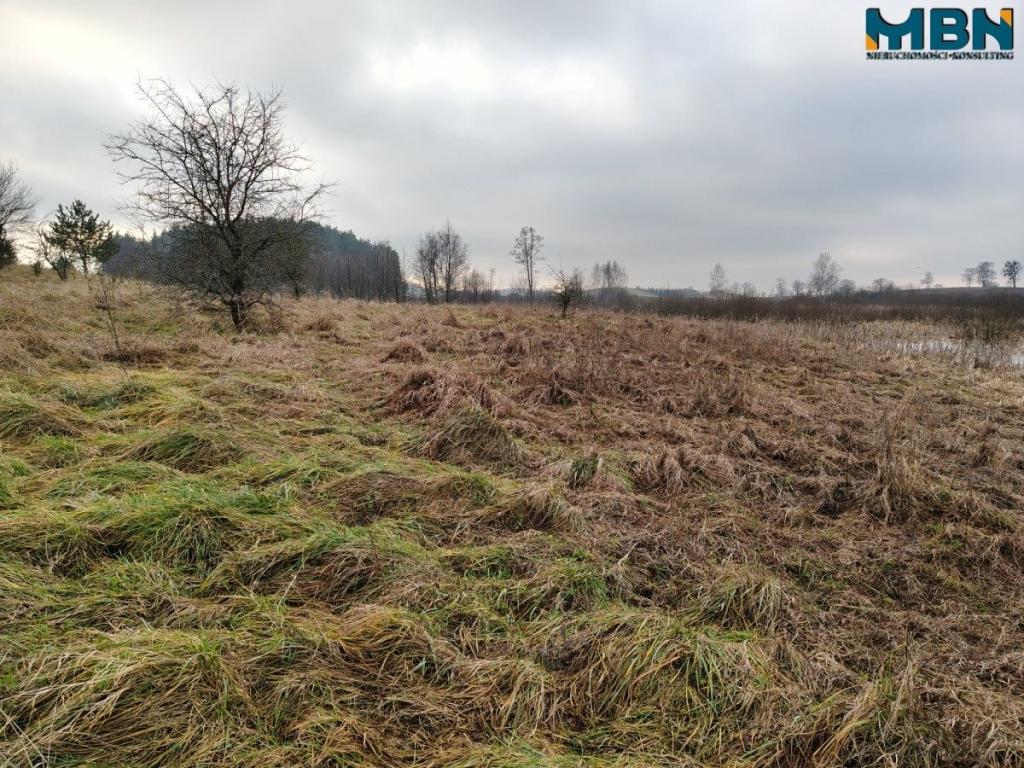 Działka rolna 4,90 ha, Wydminy - zdjęcie 13