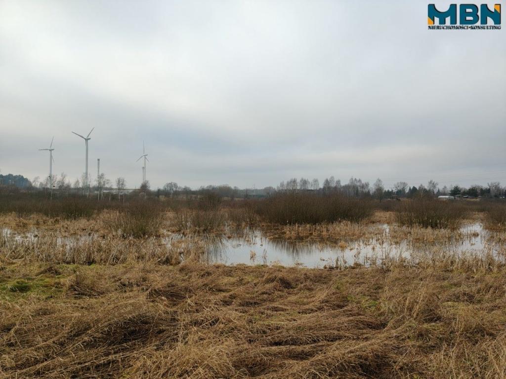 Działka rolna 4,90 ha, Wydminy - zdjęcie 8