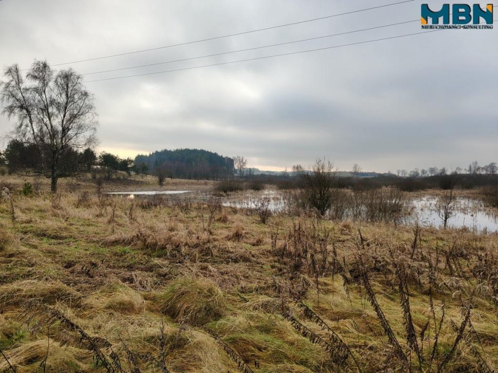 Działka rolna 4,90 ha, Wydminy - zdjęcie 14
