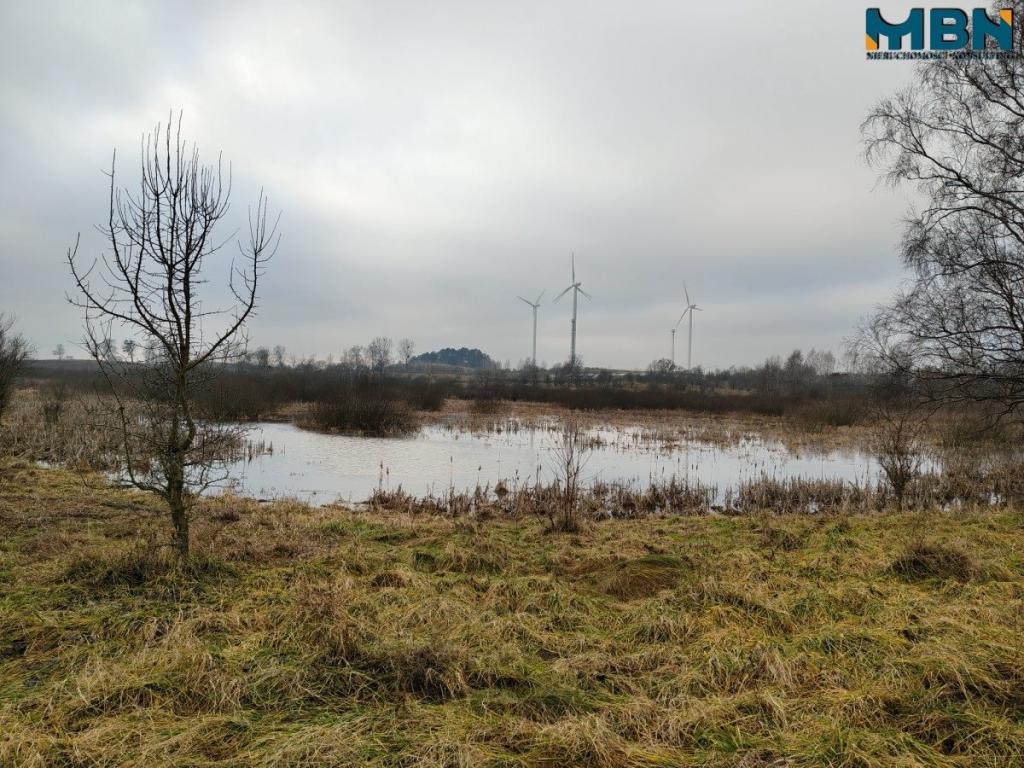 Działka rolna 4,90 ha, Wydminy - zdjęcie 5