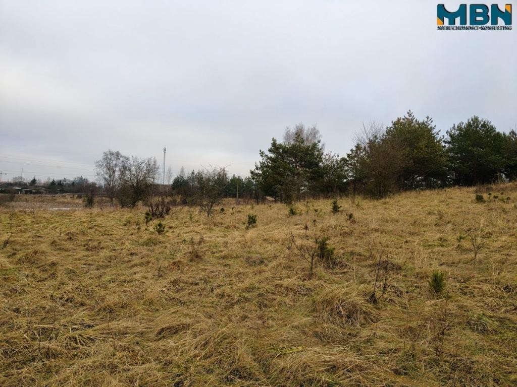 Działka rolna 4,90 ha, Wydminy - zdjęcie 2