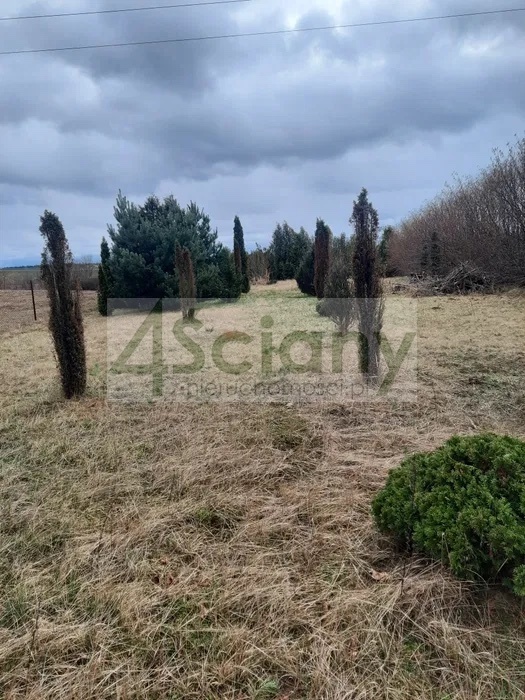 Działka budowlana 2007 m², Skrzeszew - zdjęcie 2
