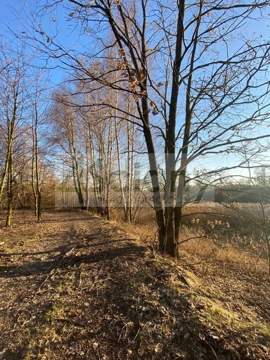 Działka gospodarstwo 8,44 ha, Lewiczyn - zdjęcie 6