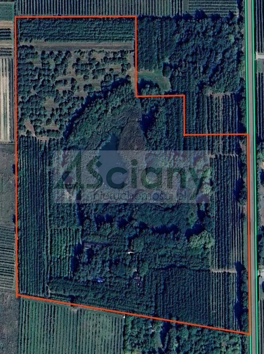 Działka gospodarstwo 8,44 ha, Lewiczyn - zdjęcie 1